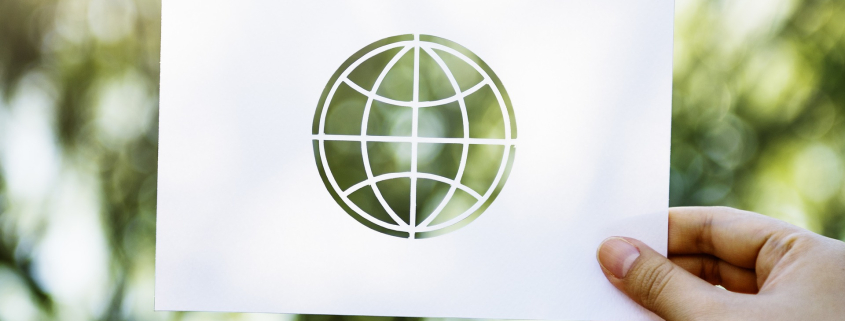 Das Logo von Ecosia wird vor einem Baum gehalten